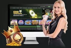 v68 bet v68 bet